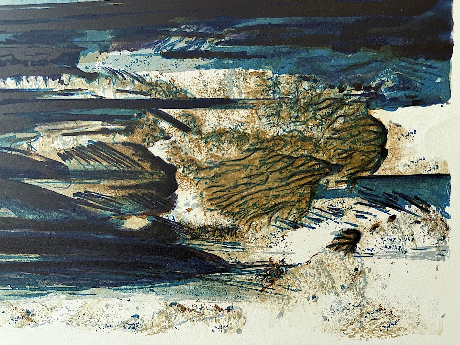 ABSTRACT ARCTIC LANDSCAPE Original Hand Drawn Lithograph Blue, Green, Tan, Black For Sale 1