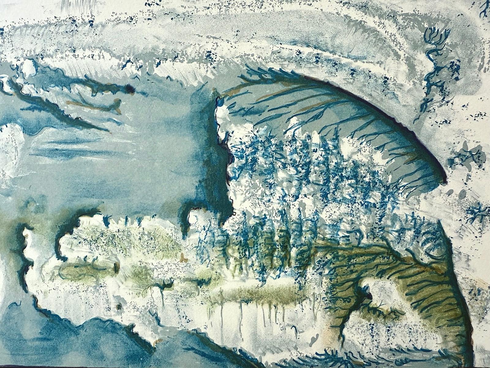 ABSTRACT ARCTIC LANDSCAPE Original Hand Drawn Lithograph Blue, Green, Tan, Black For Sale 2