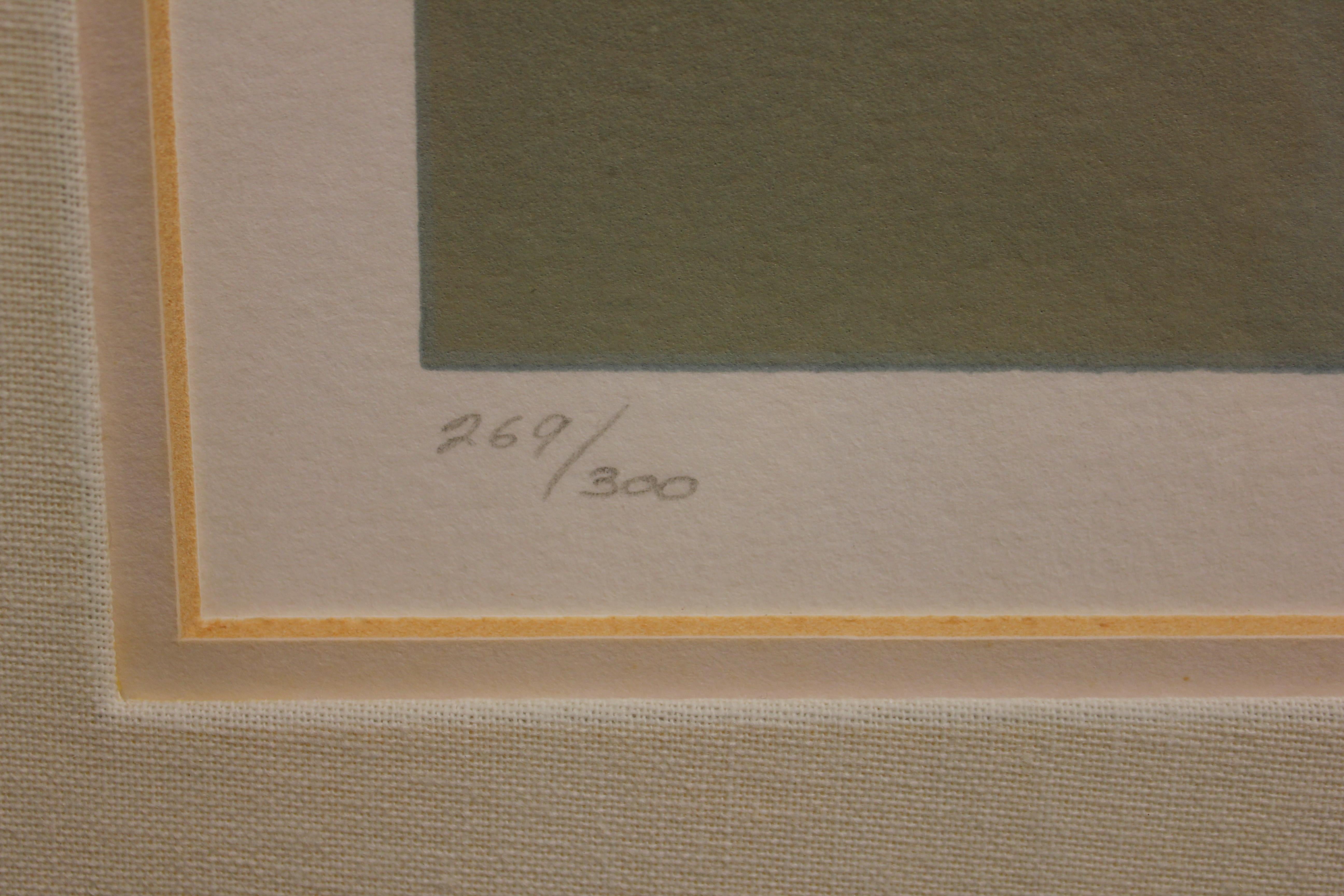 Abstrakt-expressionistische kühn getönte Lithographie, Auflage 269 von 300 (Abstrakter Expressionismus), Print, von Unknown