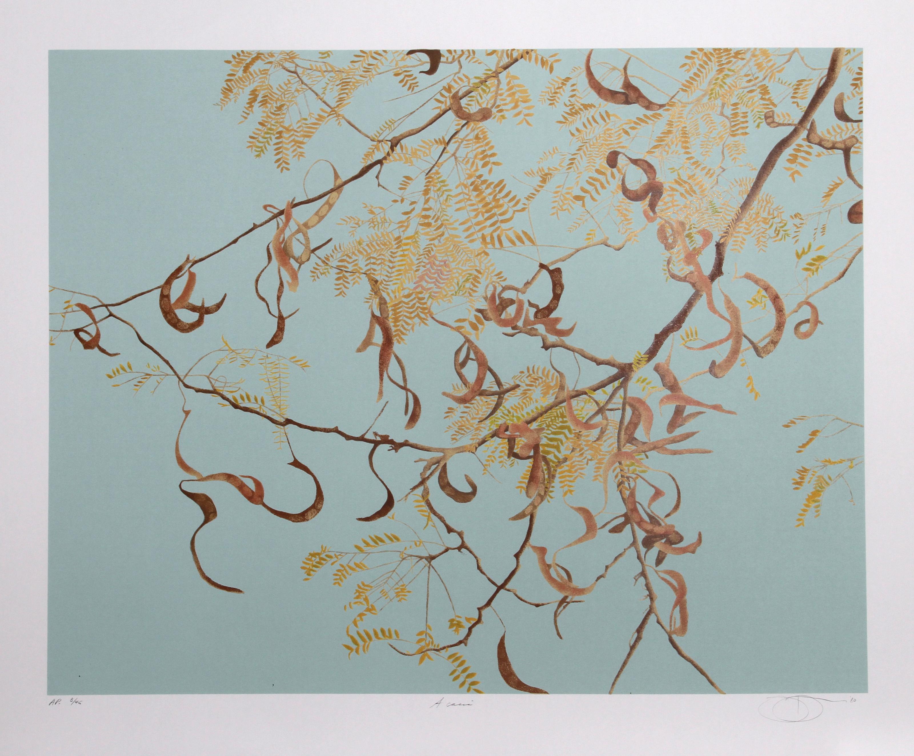 Jon D'Orazio, estadounidense (1942 - ) - Acacia. Año: 1980, Medio: Litografía, firmada y numerada a lápiz, Edición: 300, AP 45, Tamaño de la imagen: 24 x 31 pulgadas, Tamaño: 31 pulgadas x 37 pulgadas (78,74 cm x 93,98 cm)