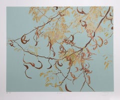 Acacia, American Modern Lithograph by Jon D'Orazio