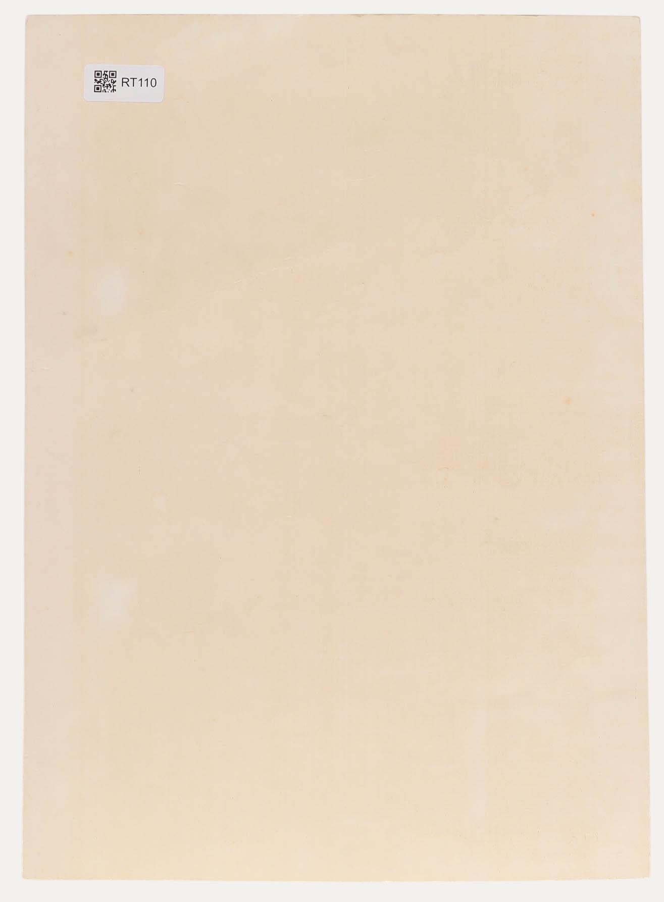 Después de Benji Asada - xilografía japonesa, El Gadoda del Templo Ninnaji - Landscape Print Beige de Unknown