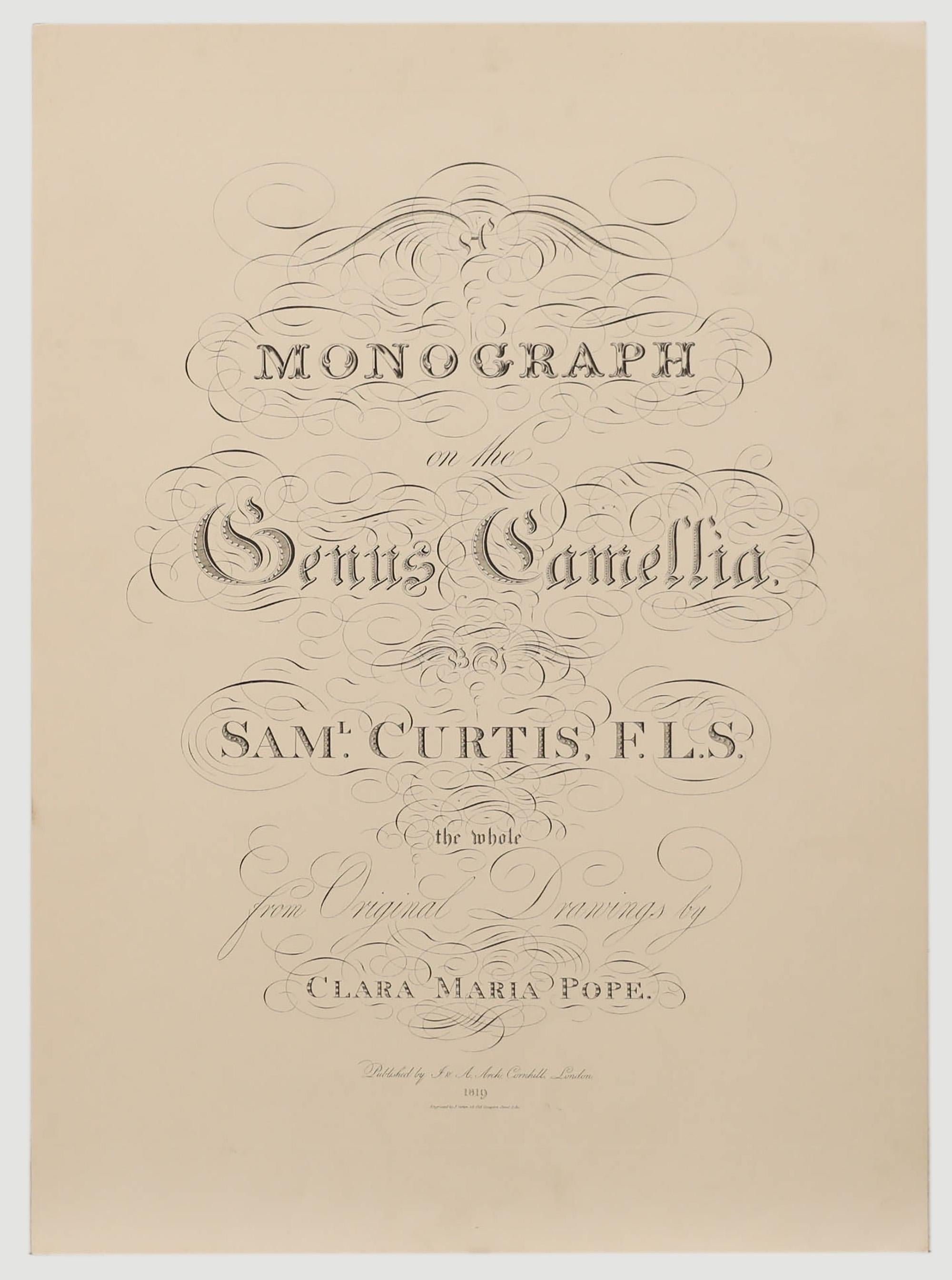 After Clara Pope (1767–1838) - Contemporary Giclee, Complete Camellia Monograph - Beige Still-Life Print by Unknown