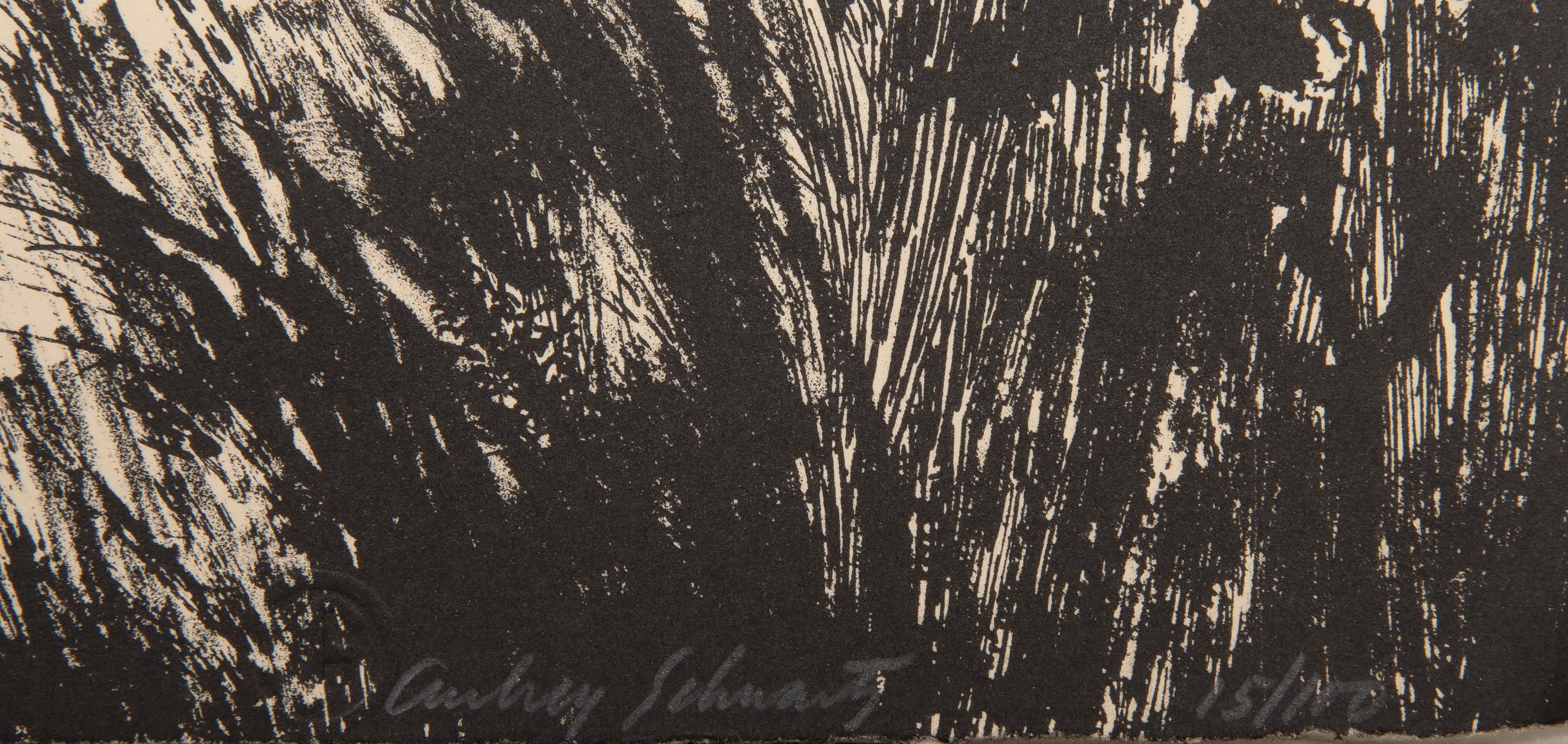 Alligatore, litografia surrealista di Aubrey Schwartz 1