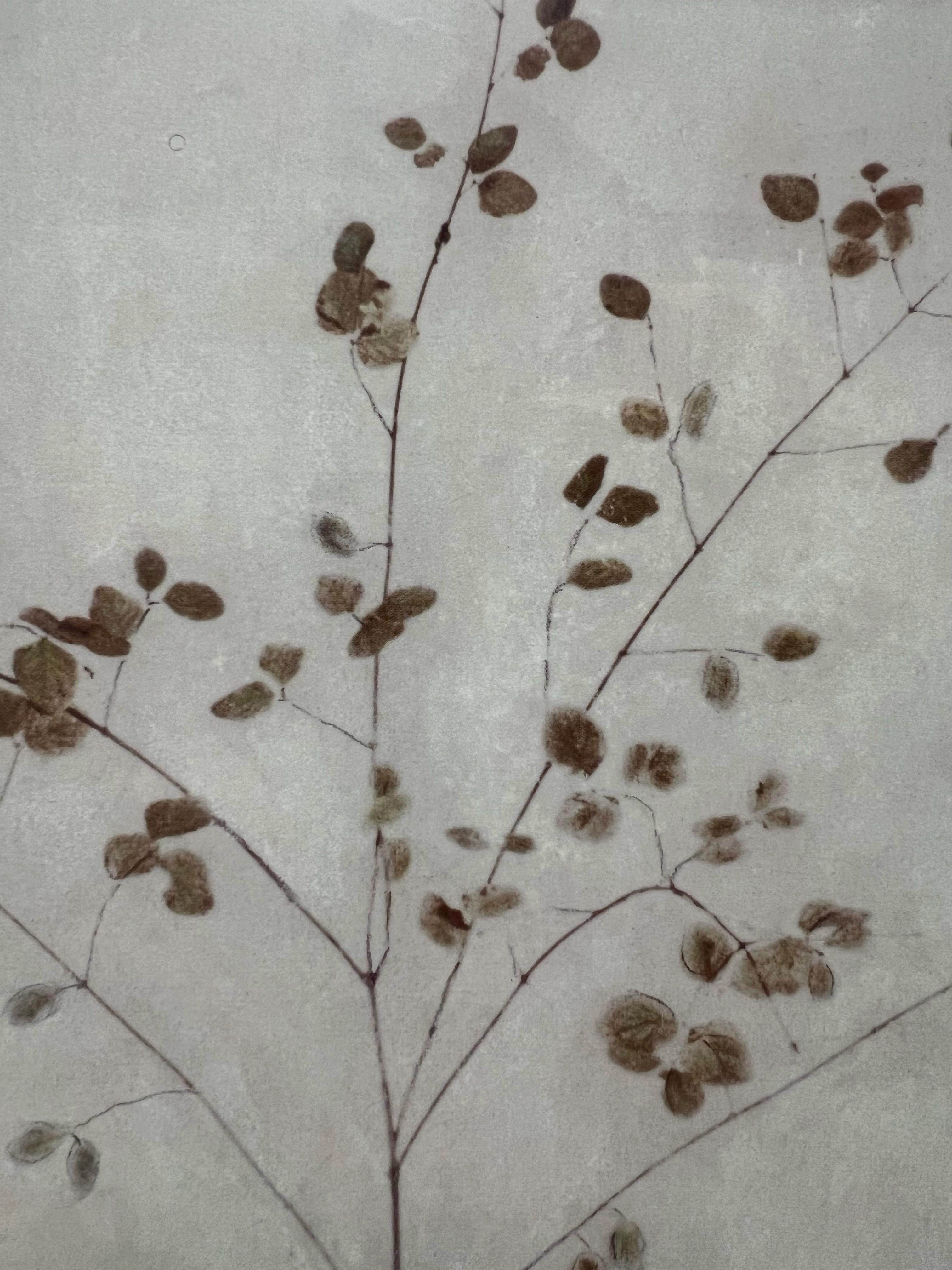 Amy Melious Leaves and Branch Series - Ensemble de quatre estampes botaniques signées en vente 5