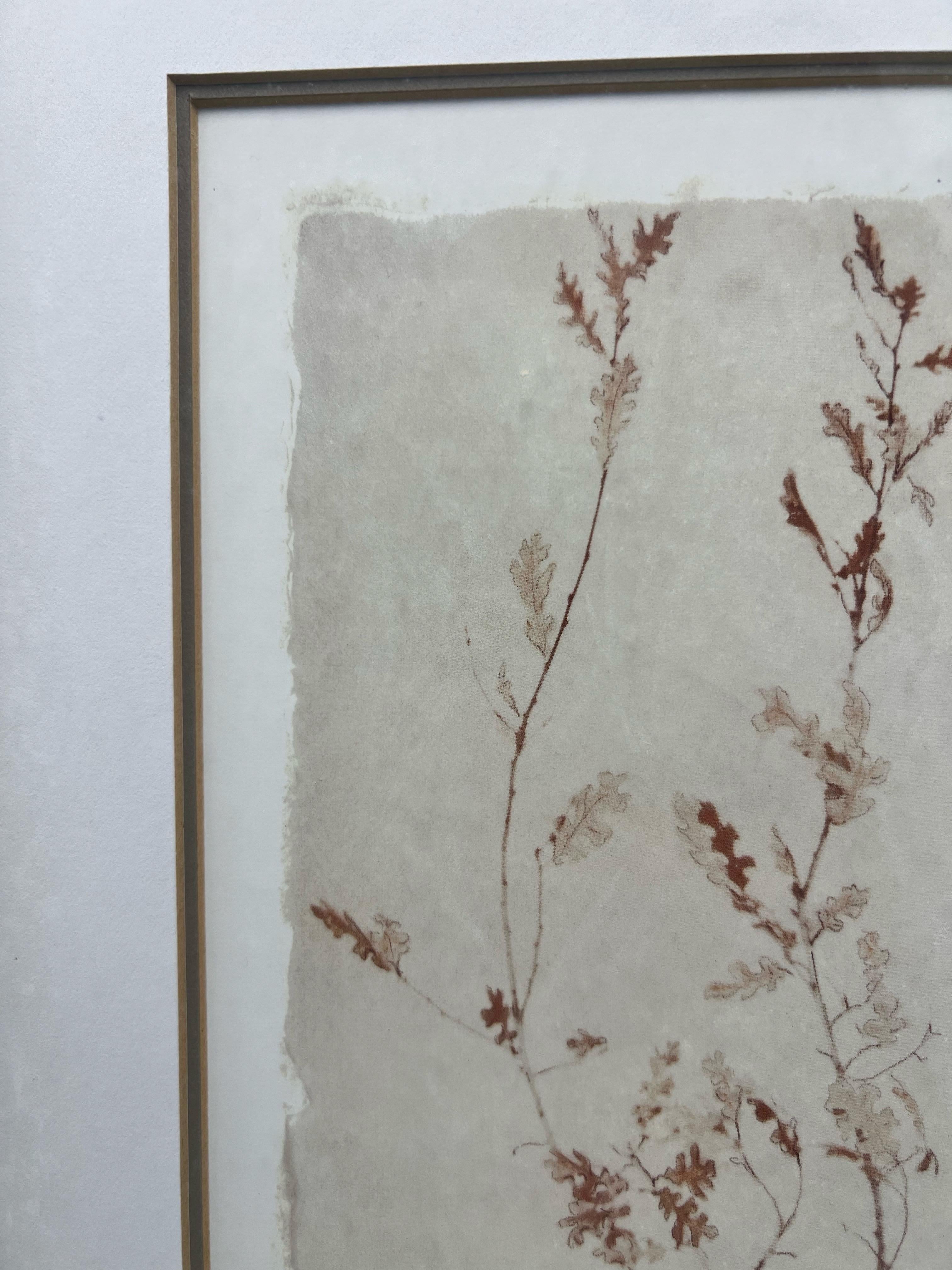 Amy Melious Leaves and Branch Series - Ensemble de quatre estampes botaniques signées en vente 8