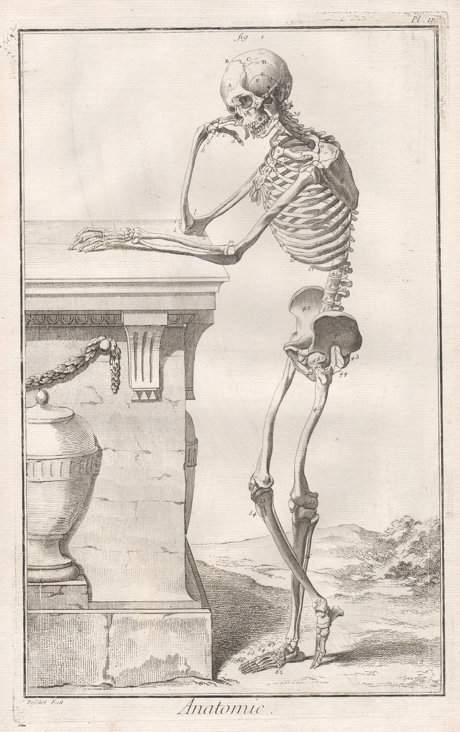 Unknown Figurative Print - 
Anatomie
 - 2 Skeleton images, French medical anatomy engravings, c1770
