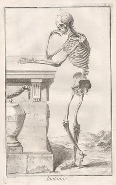 'Anatomie' - 2 Skeleton images, French medical anatomy engravings, c1770