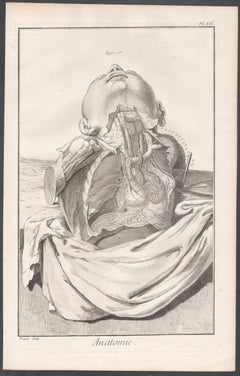 'Anatomie' - Arteries of the chest, French medical anatomy engraving, c1770