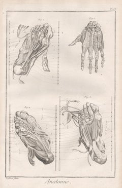 18th Century and Earlier Figurative Prints