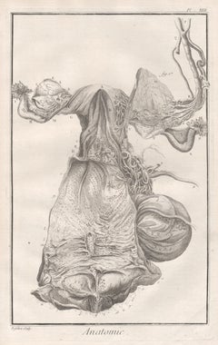 18th Century and Earlier Figurative Prints