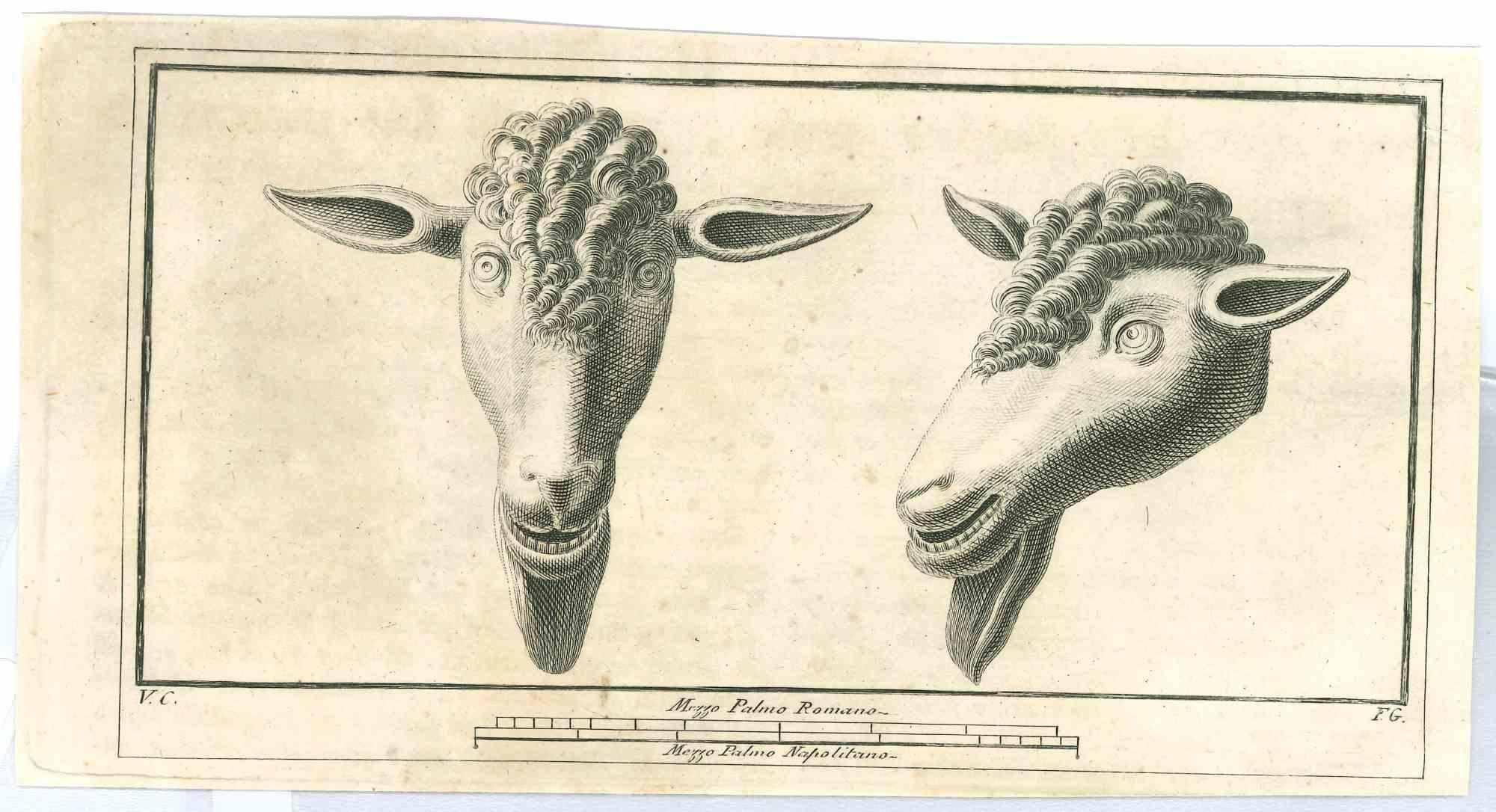 Ancient Roman Statues of Sheep - Original Etching - 18th Century