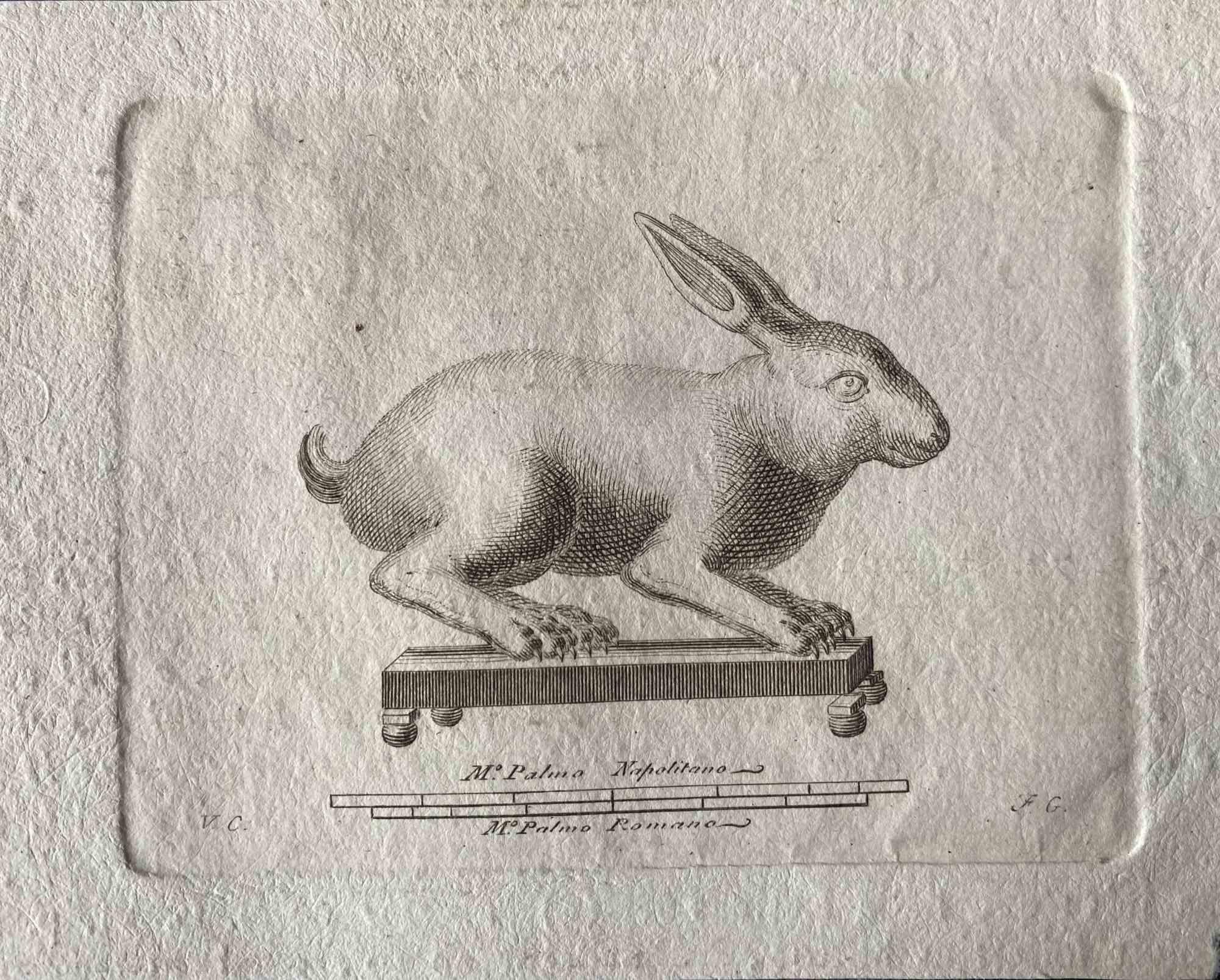 Figurative Print Unknown - Figures d'animaux pour les antiquités - gravure originale - milieu du XVIIIe siècle