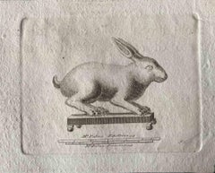 Tierfiguren für Antiquitäten – Original-Radierung – Mitte des 18. Jahrhunderts