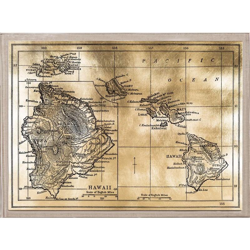 Unknown Print - Antique City Maps, Hawaii, gold leaf, acrylic box frame