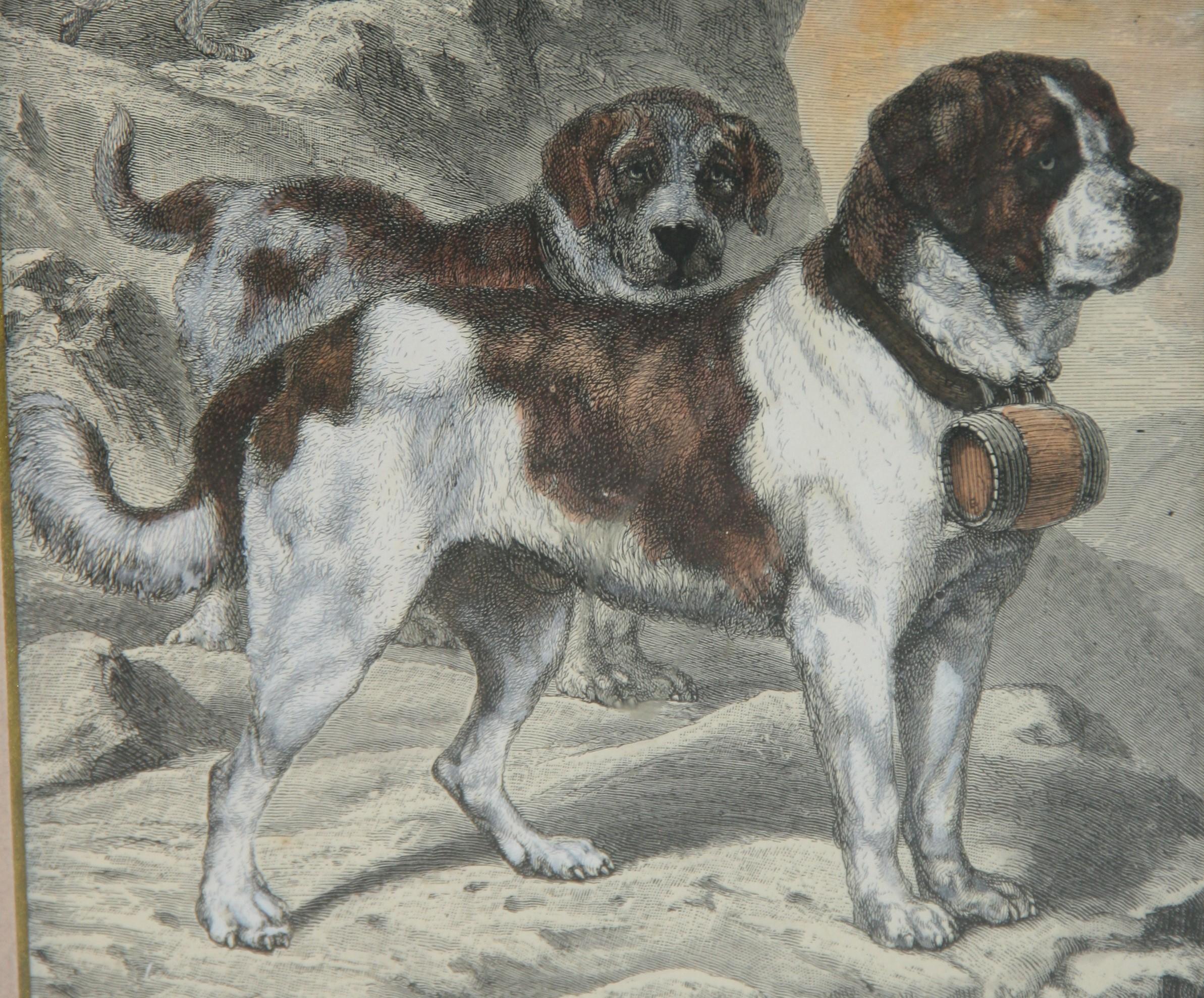 6037 Gravure ancienne sur cuivre aquarellée d'un groupe de Saint-Bernard  chiens de sauvetage
Encadré
Taille de l'image 8x6