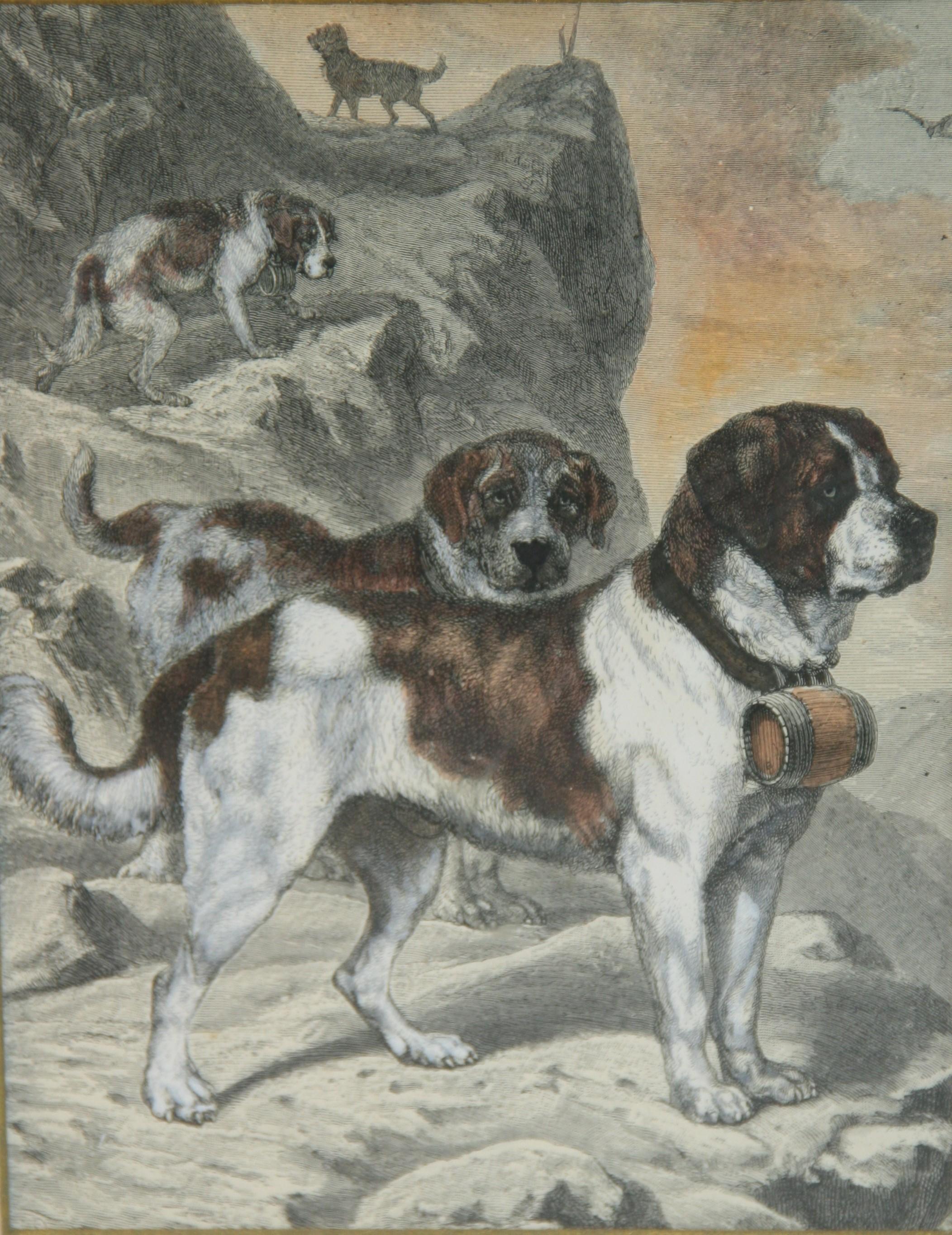 Animal Print Unknown - Gravure ancienne en cuivre colorée à la main "Saint Bernard Rescue Dogs".