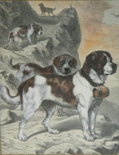 Antique Hand Colored Copper Engraving "Saint Bernard Rescue Dogs"