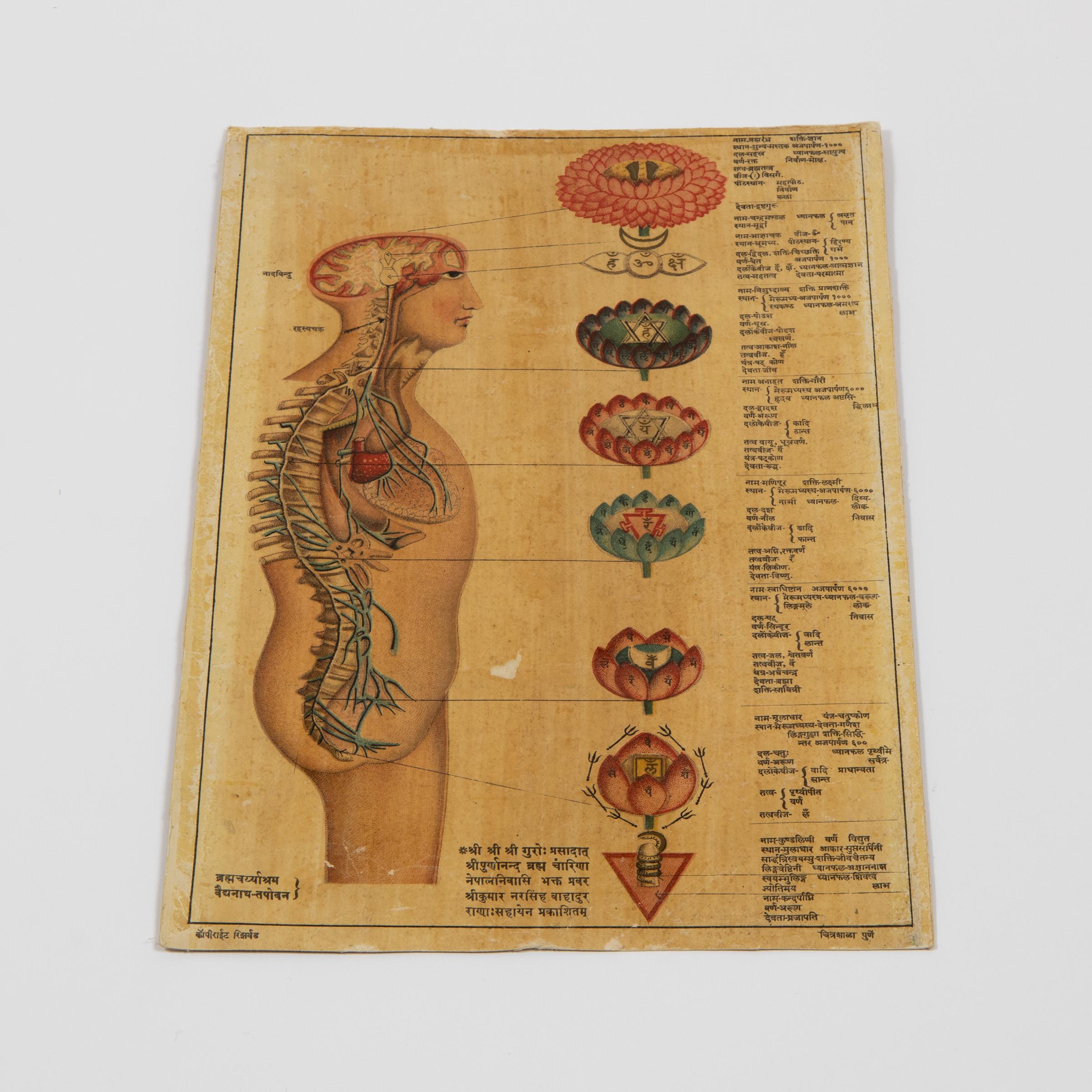 Antico Kundalini indiano, induista, sanscrito, chakra // Set di 2 stampe anatomiche - Print di Unknown