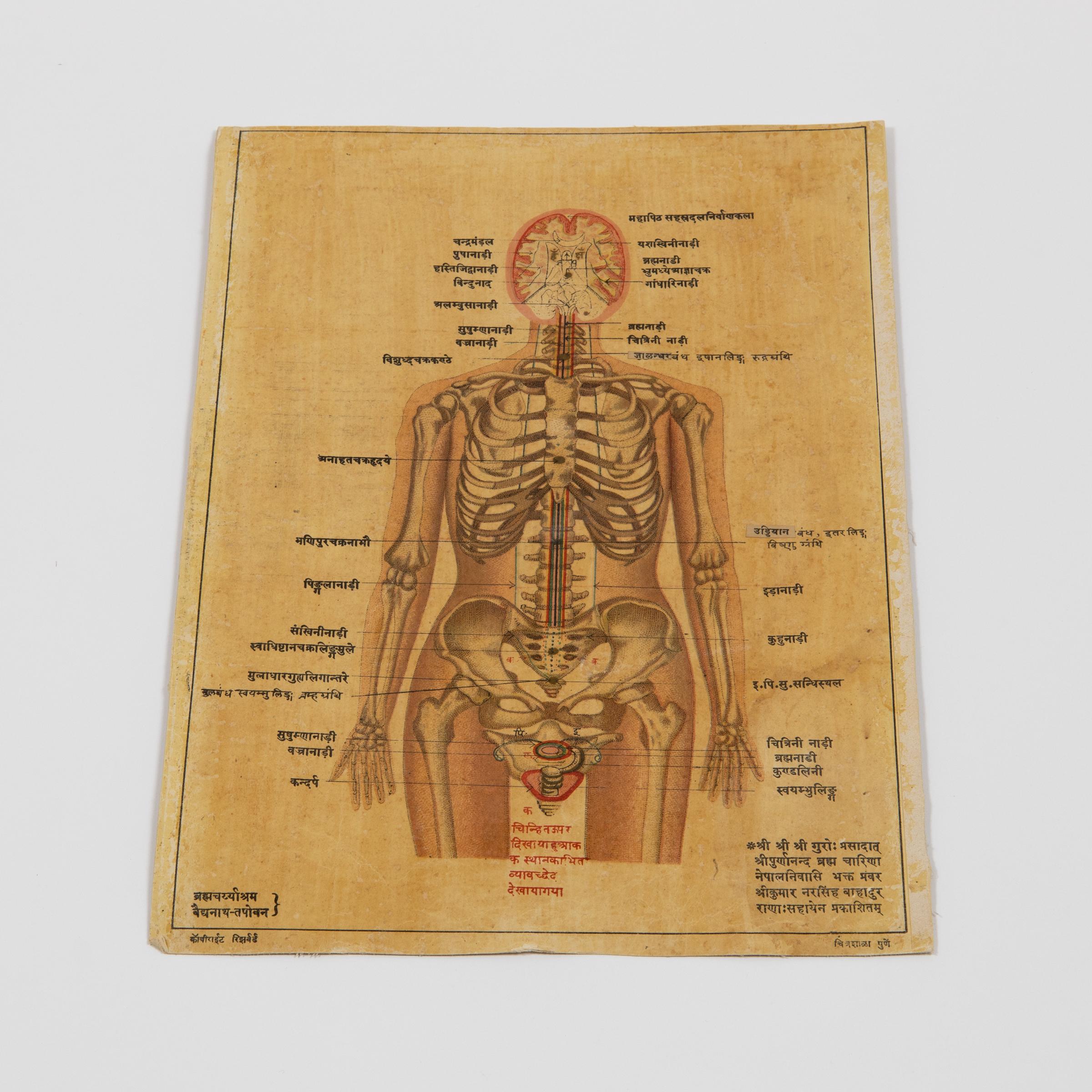 Antique Indian Kundalini Hindu Sanskrit Chakras // Set of 2 Anatomical Prints  For Sale 1