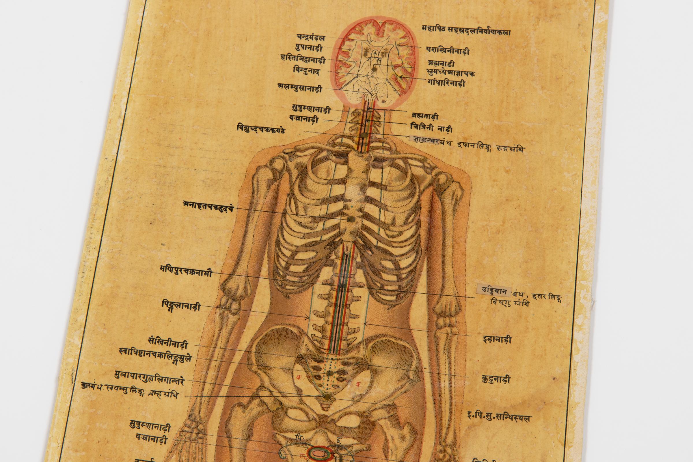 Antico Kundalini indiano, induista, sanscrito, chakra // Set di 2 stampe anatomiche - Figurative Print Marrone di Unknown