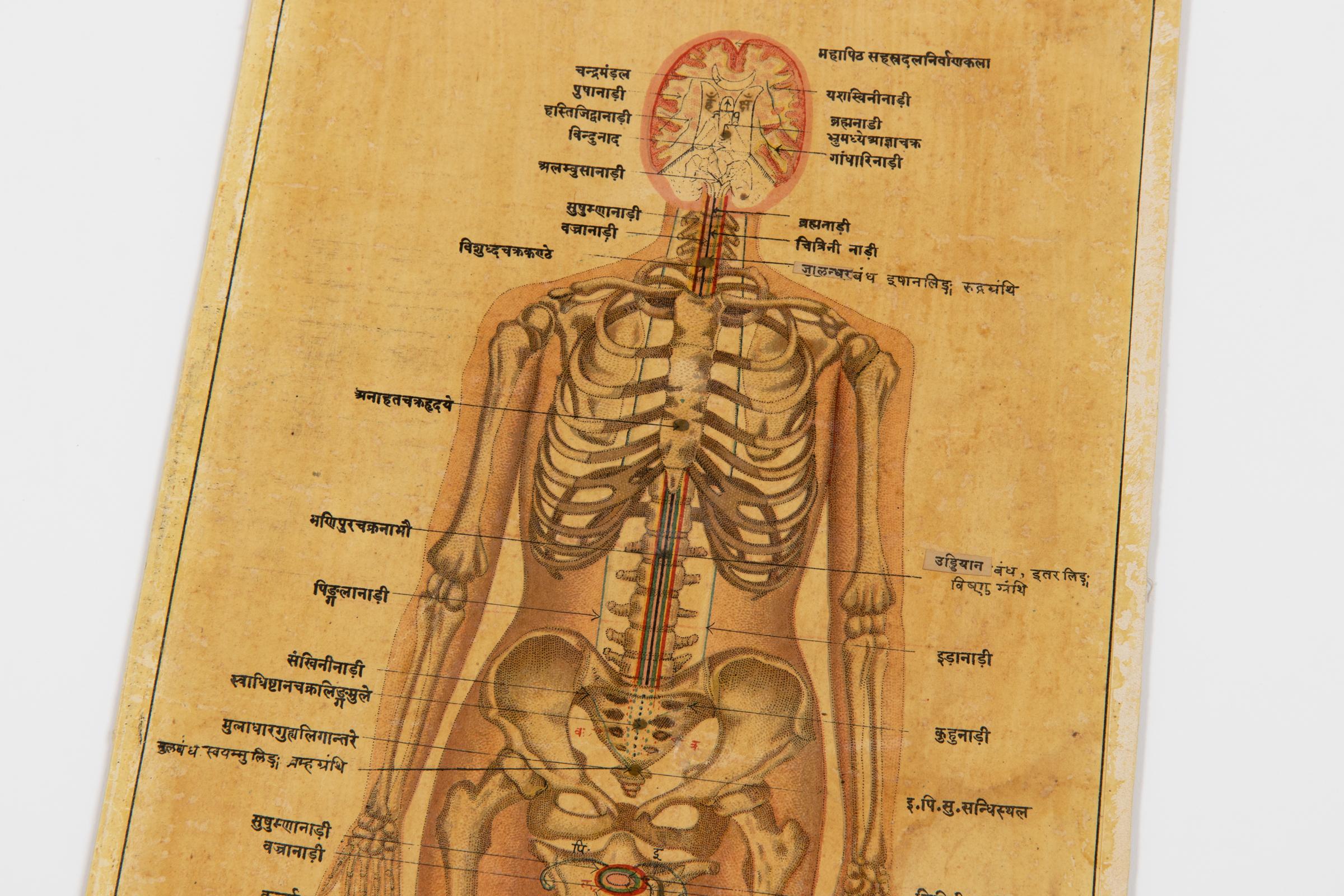 Antique Indian Kundalini Hindu Sanskrit Chakras // Set of 2 Anatomical Prints  For Sale 2