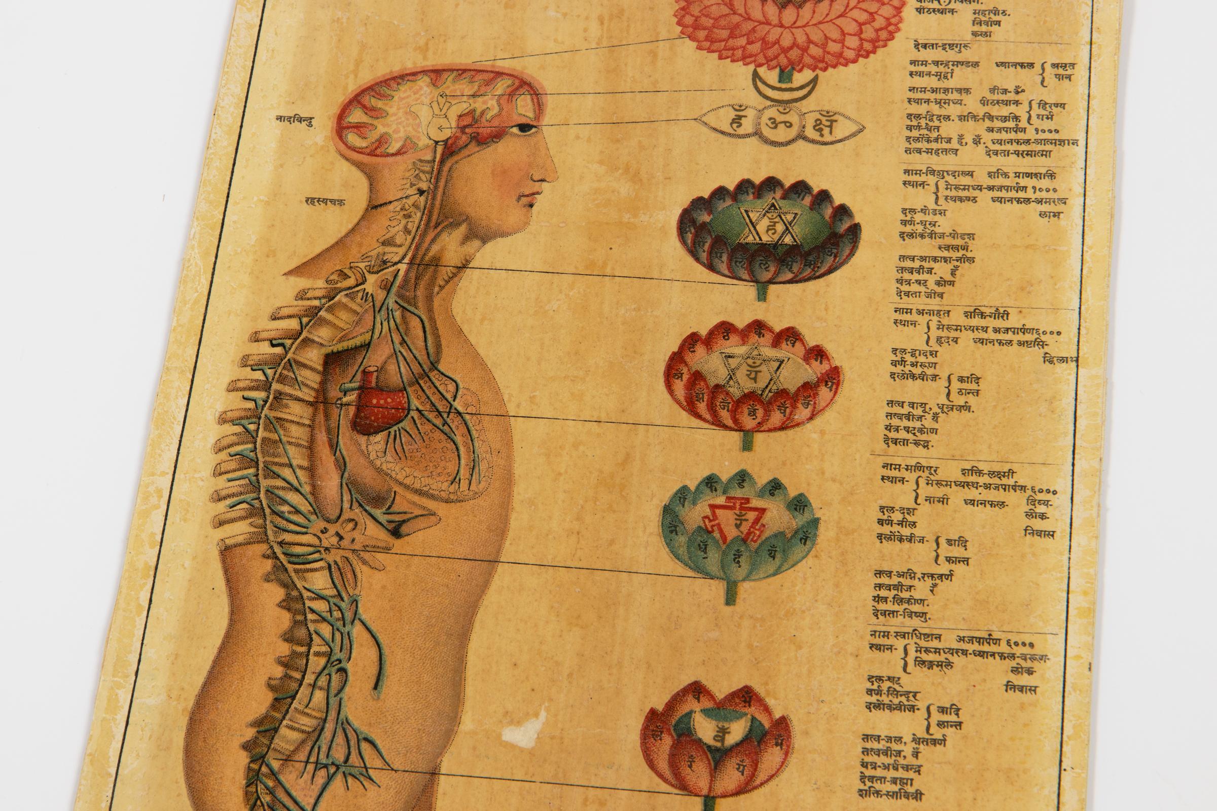 Set di due antiche stampe anatomiche indù/indiane, che evidenziano i sette chakra con testo in sanscrito.

Stampe originali fatte a mano su carta antica.