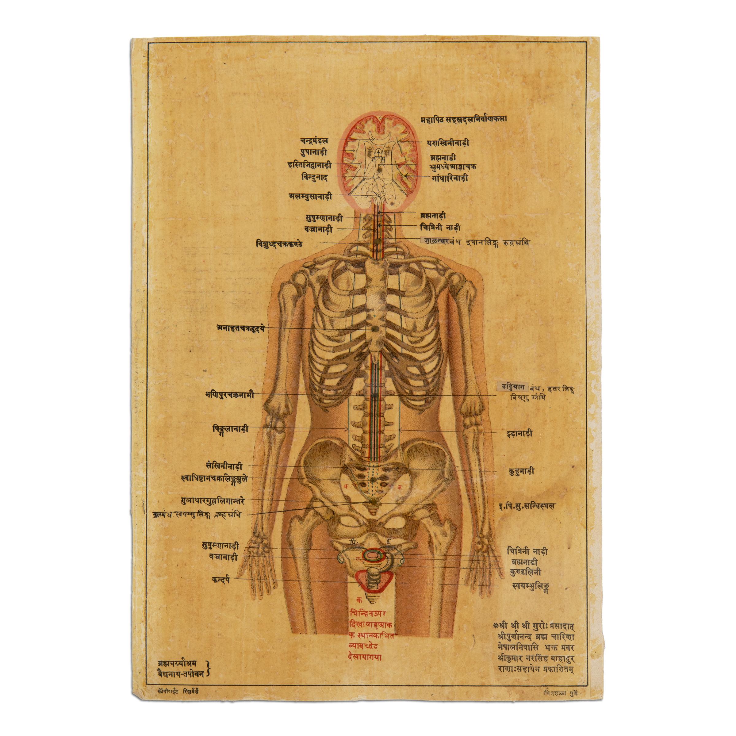 Antique Indian Kundalini Hindu Sanskrit Chakras // Set of 2 Anatomical Prints  For Sale 4