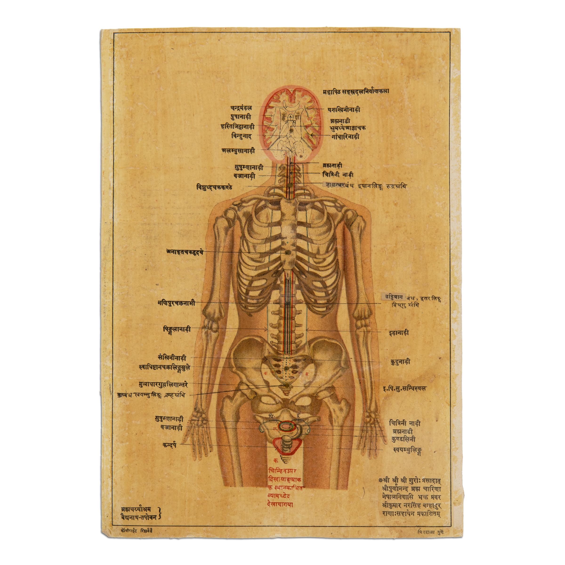 Antico Kundalini indiano, induista, sanscrito, chakra // Set di 2 stampe anatomiche 1