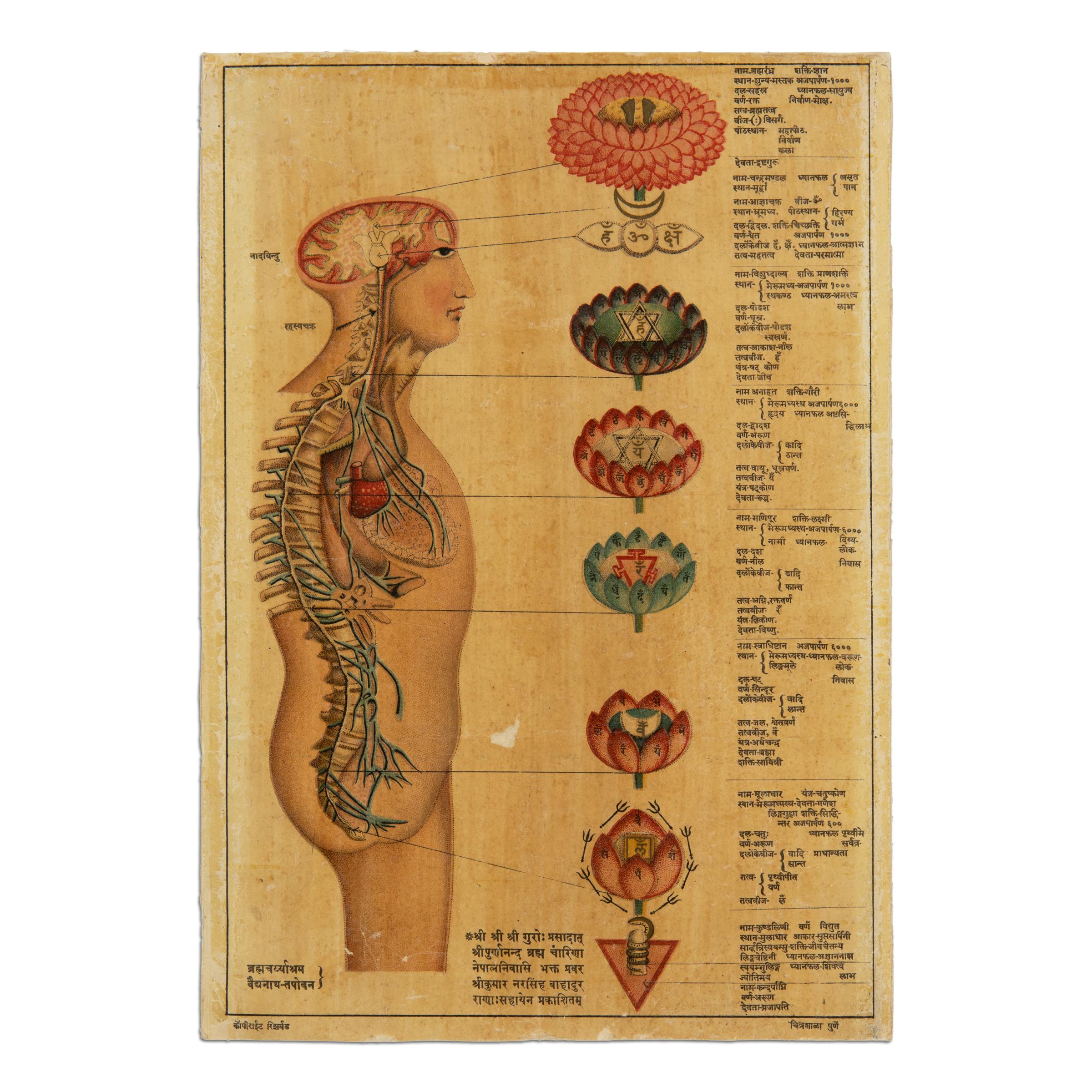 Antique Indian Kundalini Hindu Sanskrit Chakras // Set of 2 Anatomical Prints  For Sale 5
