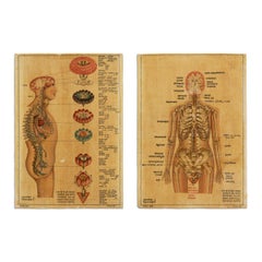 Antique Indian Kundalini Hindu Sanskrit Chakras // Set of 2 Anatomical Prints 