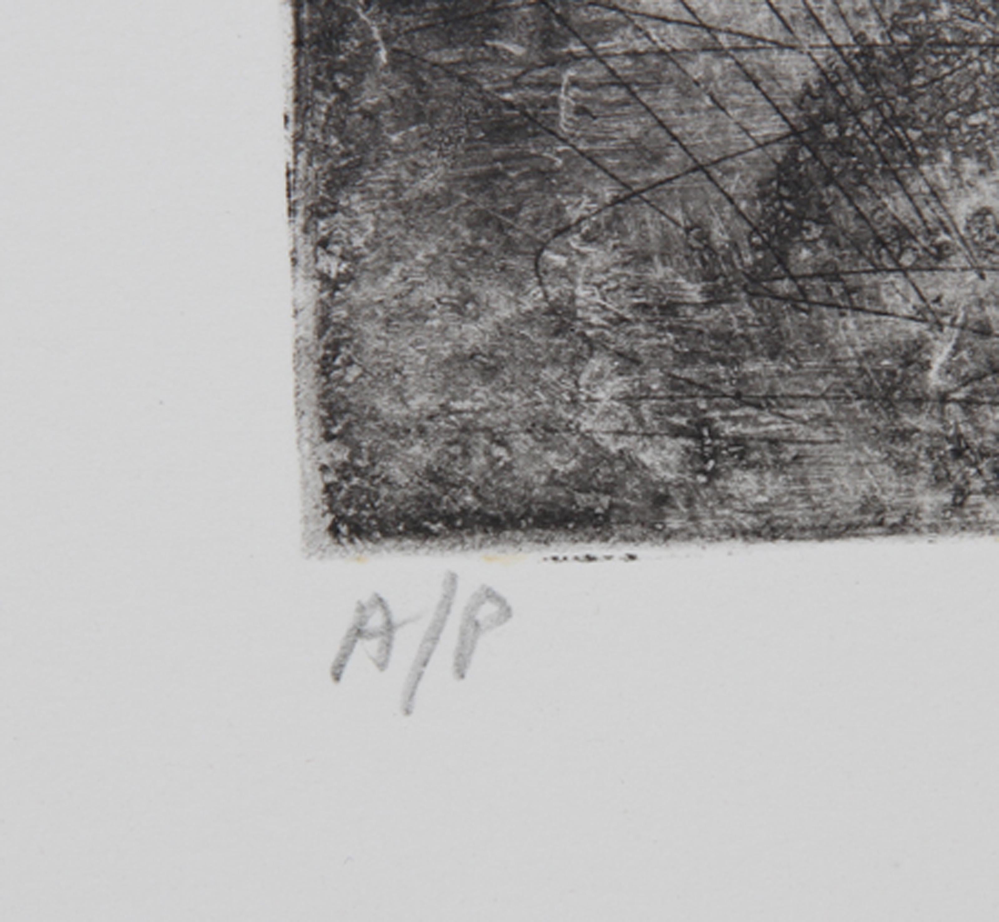 Biagio Civale, Italian/American (1936 - ) - Apres Rembrandt, Medium:  Etching, signed and numbered in pencil, Edition:  AP, Image Size:  12 x 9 inches, Size:  22 in. x 14.5 in. (55.88 cm x 36.83 cm)