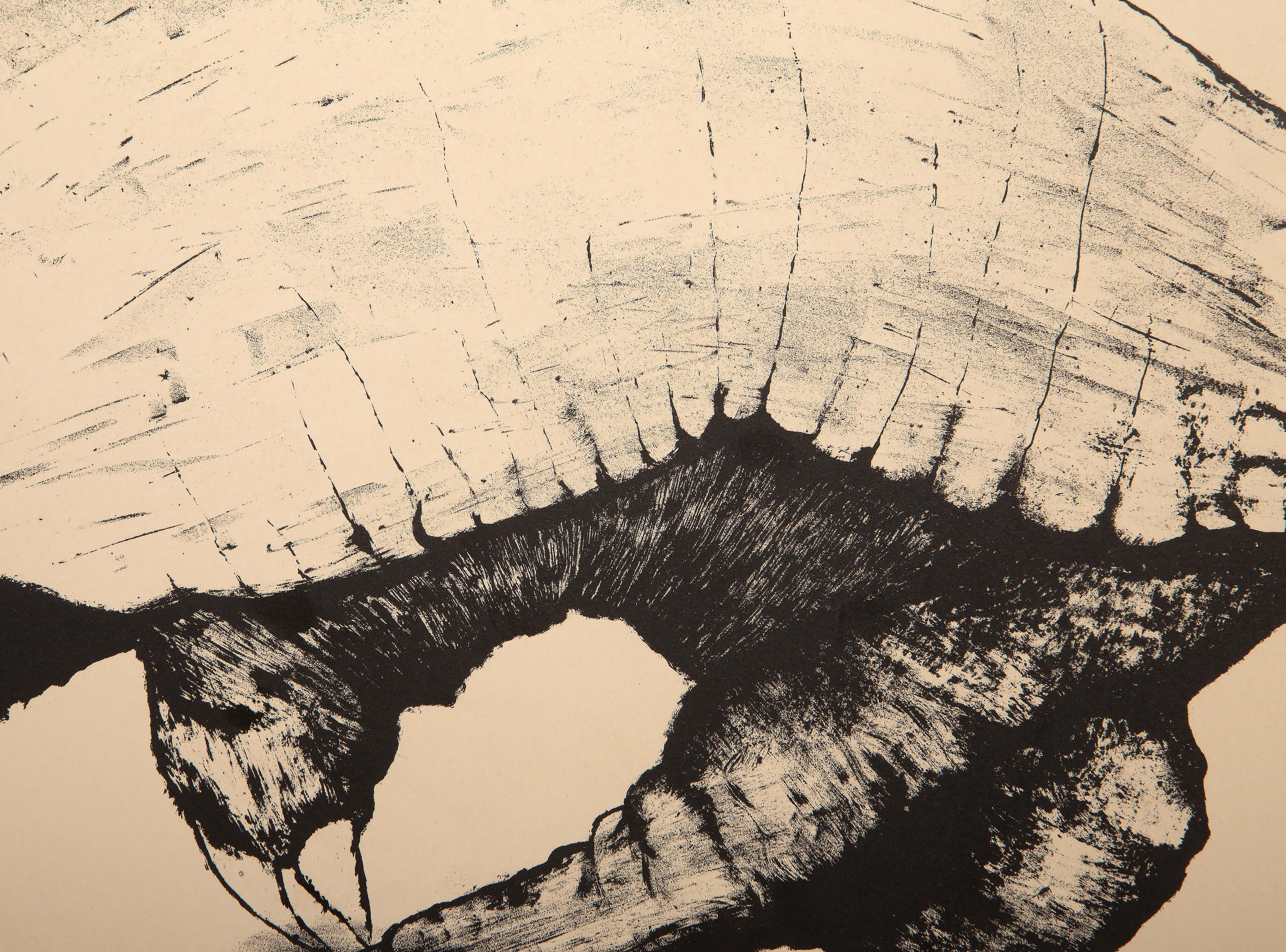 Armadillo, litografía surrealista de Aubrey Schwartz en venta 2