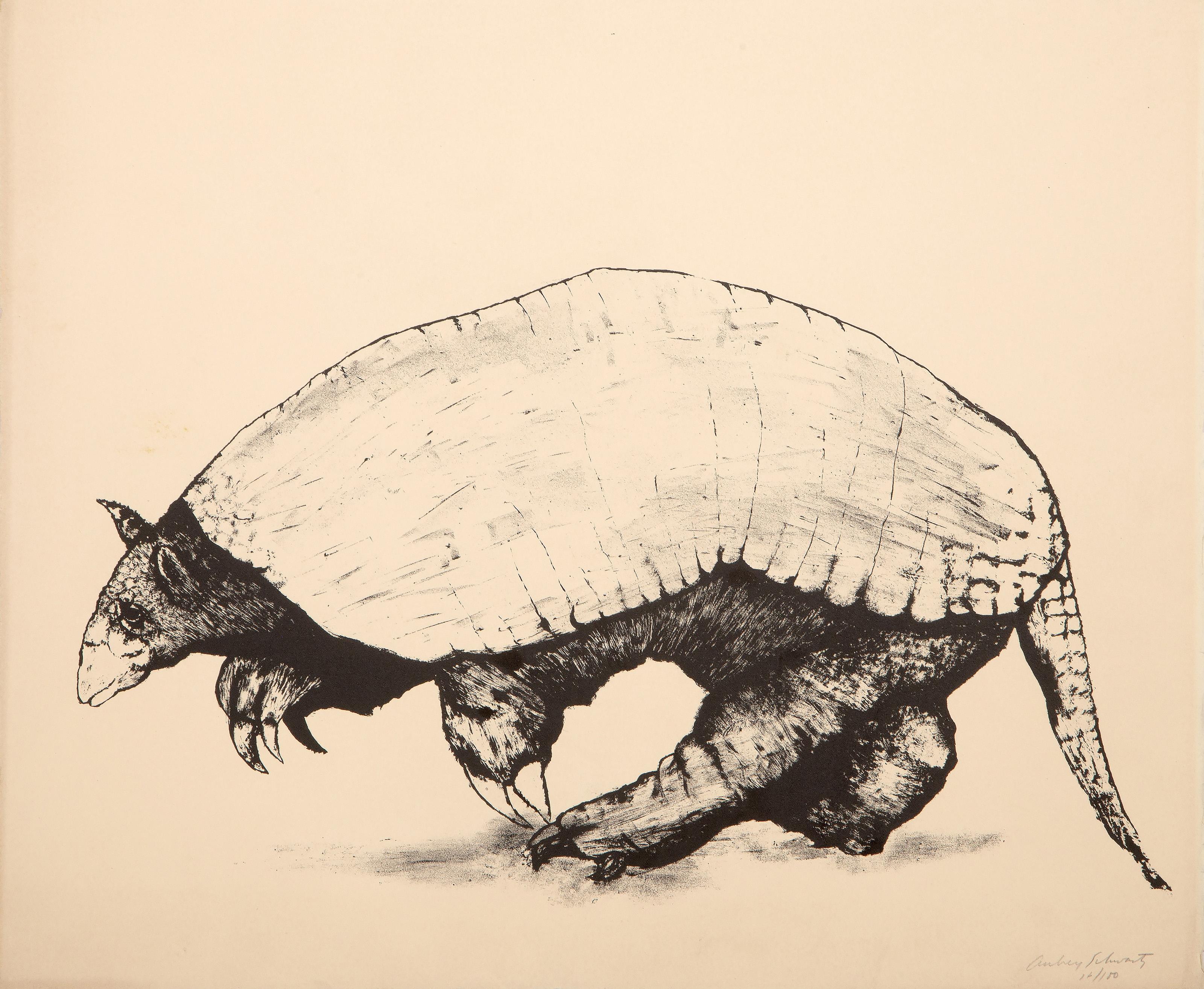 Armadillo, litografía surrealista de Aubrey Schwartz en venta 3