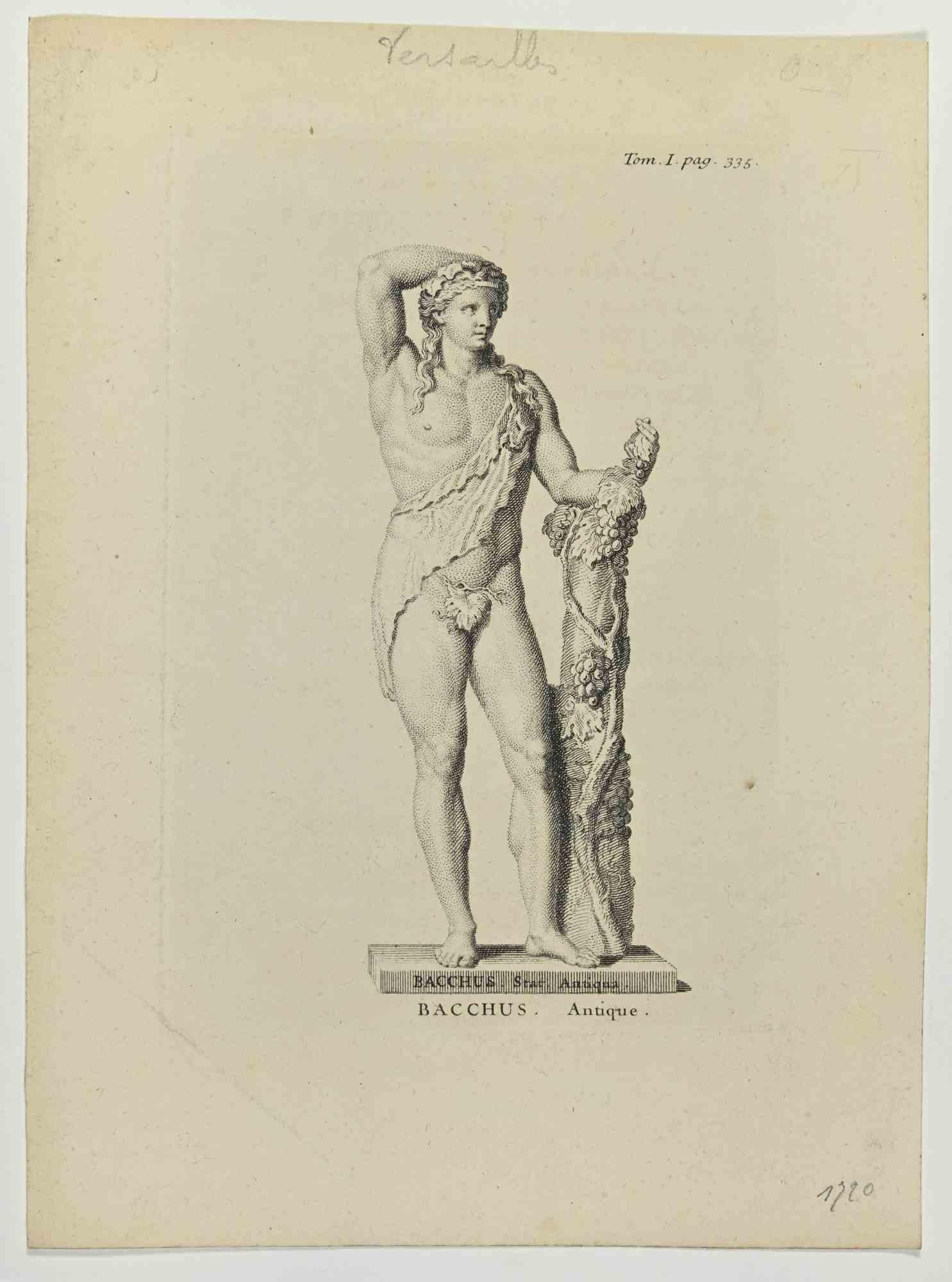 Unknown Figurative Print - Bacchus - Versailles - Etching - 18th century