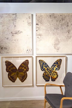 Bark Haptic, stretched canvas, unframed