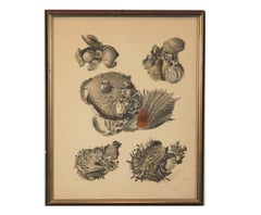 Barnacle and Shell Engraving With Glittery Affect