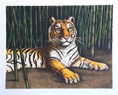 Bengal Tiger Portrait, Hand Drawn Lithograph, Wildlife Art, Big Cat