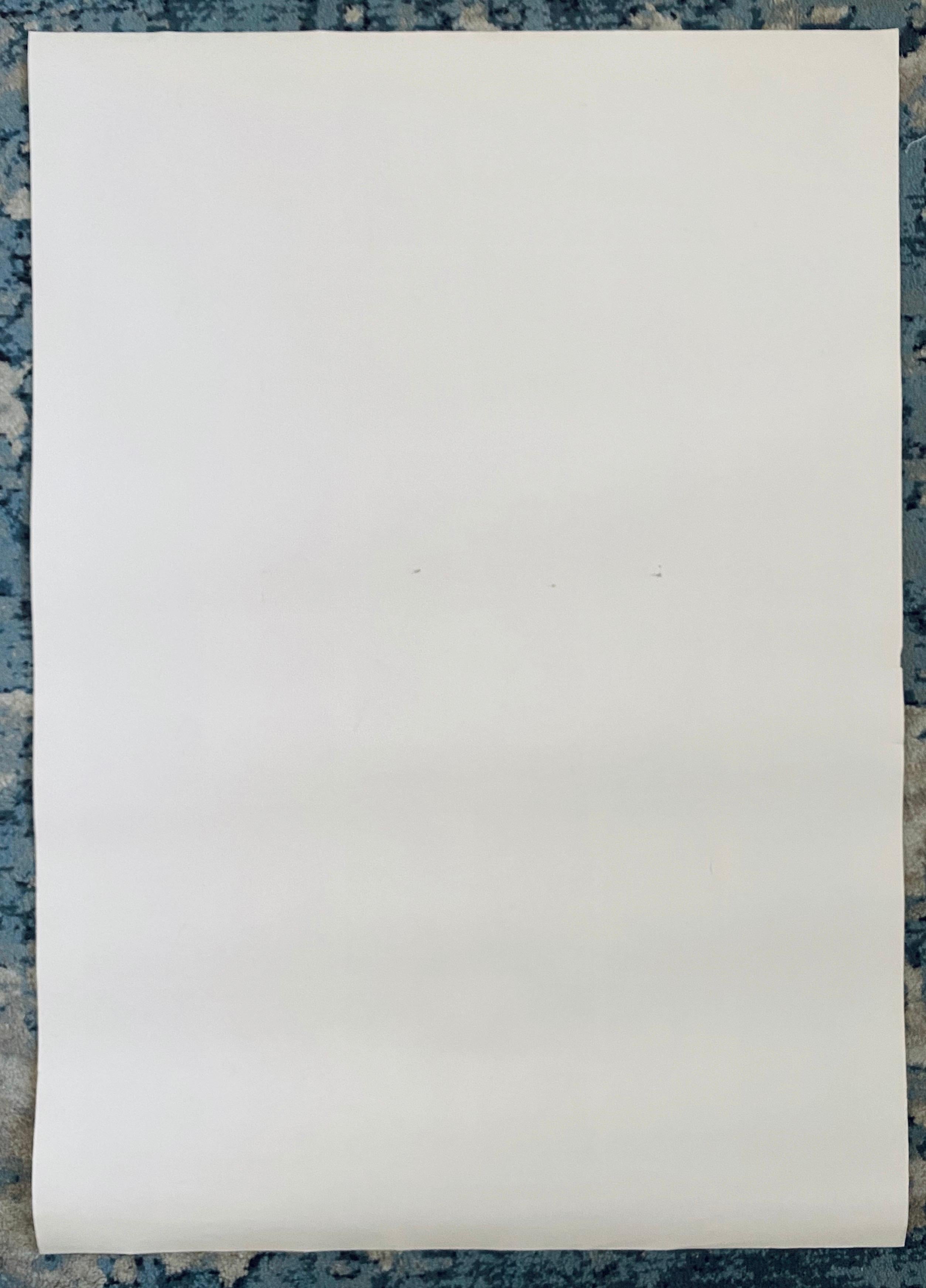 Bezalel School Jerusalem Israeli Artist Contemporary Offset Lithograph For Sale 9