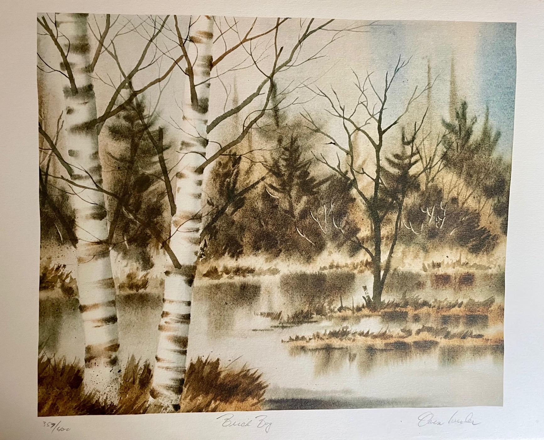 Unknown Landscape Print – „Birch Bog“ von Owen Wexler