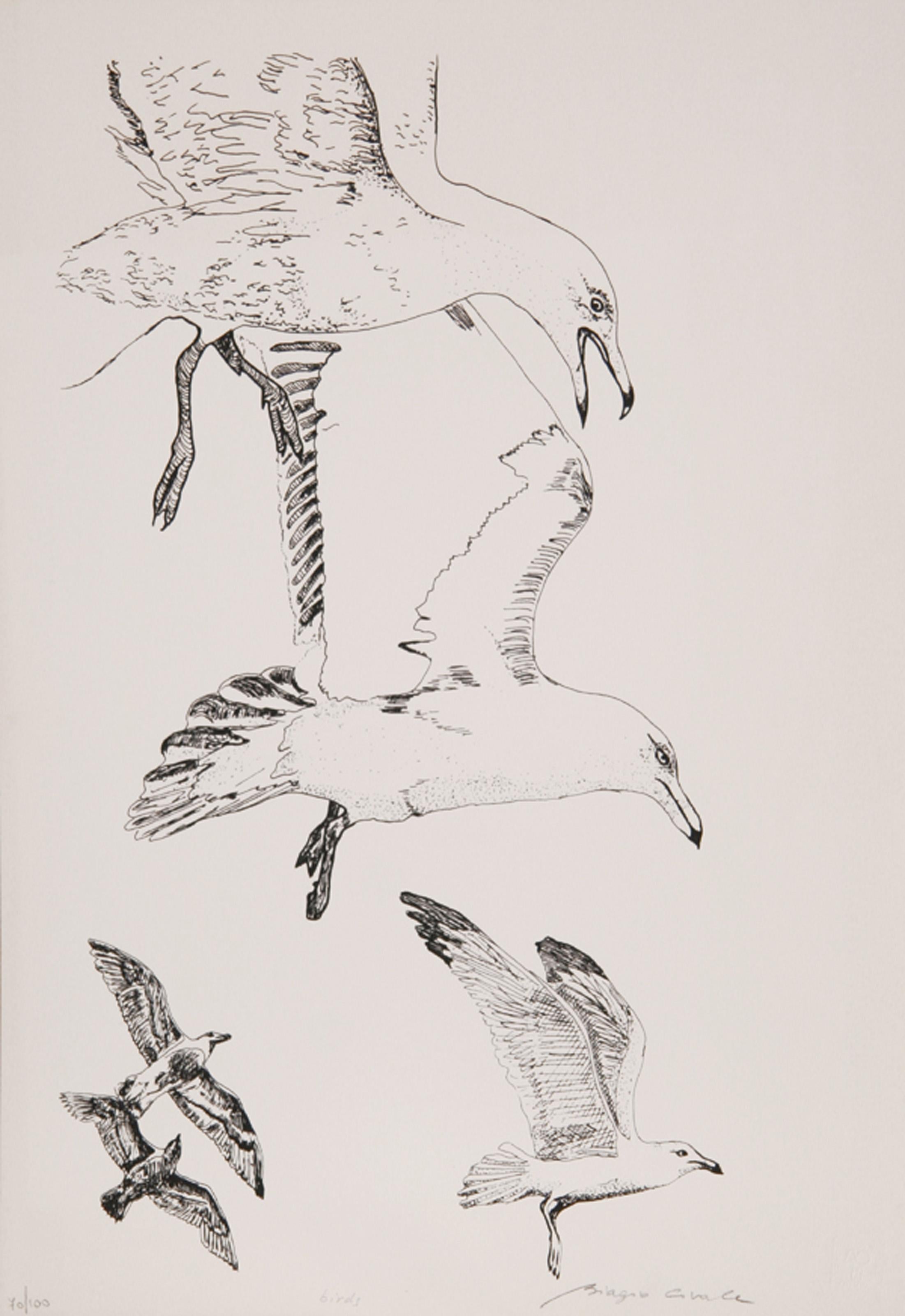 Birds, Modern Screenprint by Biagio Civale - Print by Unknown