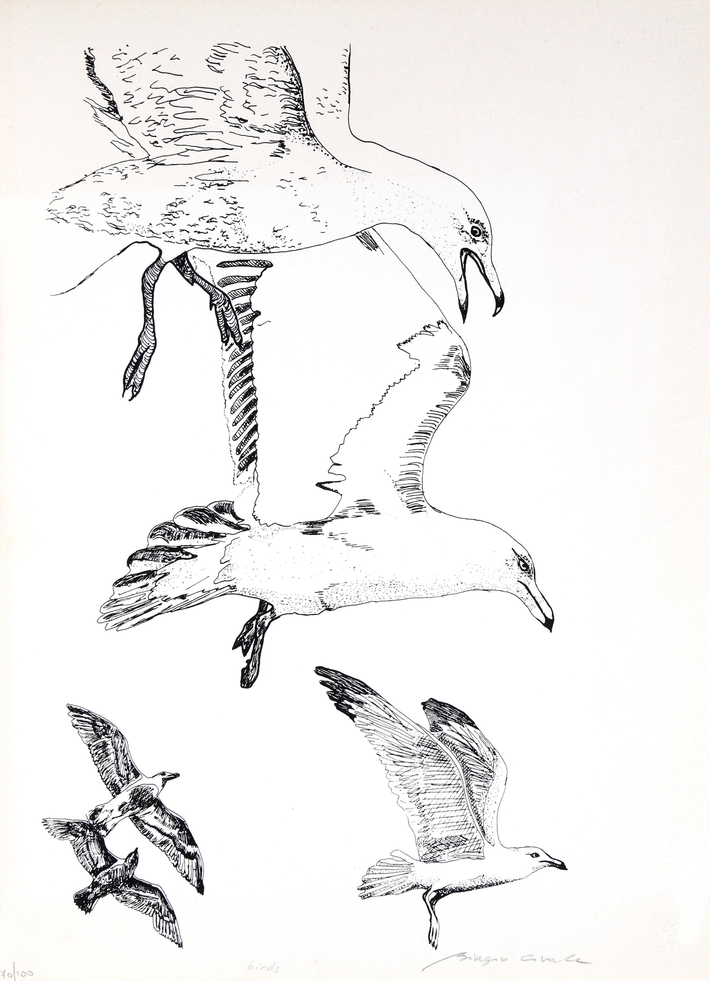 Birds, Modern Screenprint by Biagio Civale