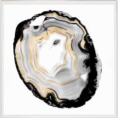 Black and White Geode, No. 3, gold leaf, acrylic box, framed