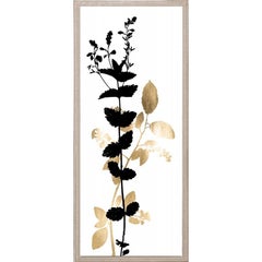 Black and White Herbarium, No. 1, gold leaf, framed