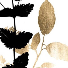 Black and White Herbarium, No. 2, gold leaf, framed
