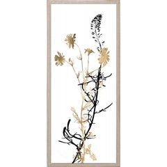 Black and White Herbarium, No. 4, gold leaf, framed
