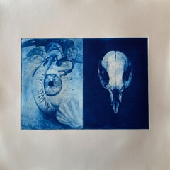 Botticelli- Auge mit Kangaroo-Totenkopf von Kristen Flynn
