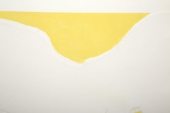 Bottom Line, Intaglio Etching with Aquatint by Joe Durante