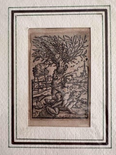 Junge auf einem Frosch montiert – Holzschnitt-Druck – 1830er Jahre