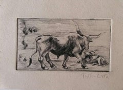 Bulls - Original Etching on Cardboard - Early 20th Century
